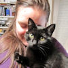 2010-10-14 Chatte a sa maman_l.jpg